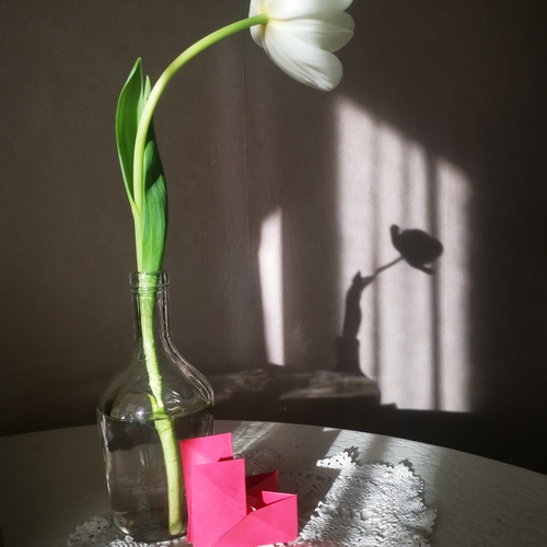 Photo #13869843