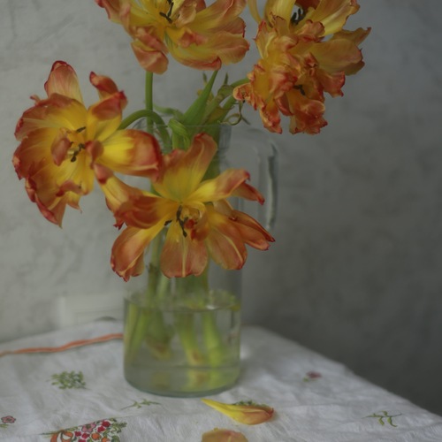 Photo #13869844