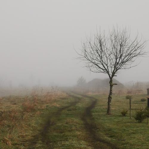Photo #13869867