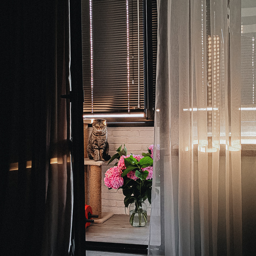Photo #13869906