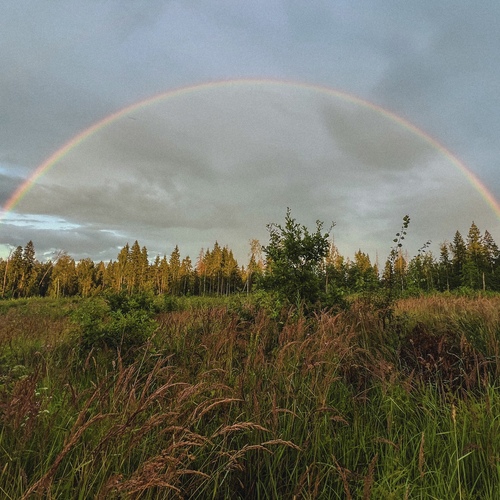 Photo #13870107