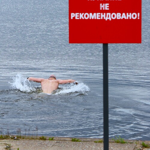 Photo #13870235