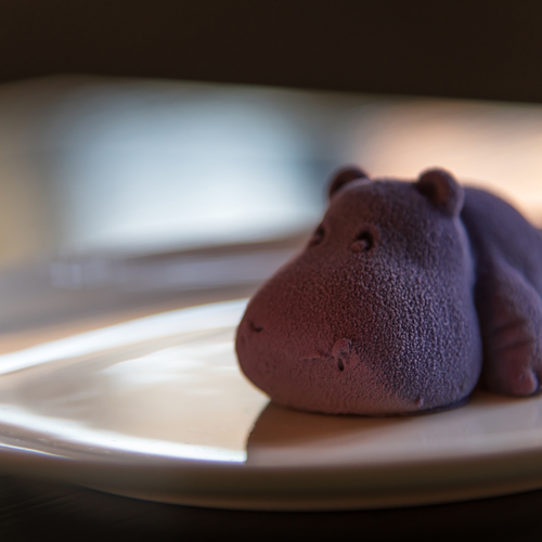 Photo #13870252