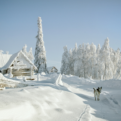 Photo #13870259