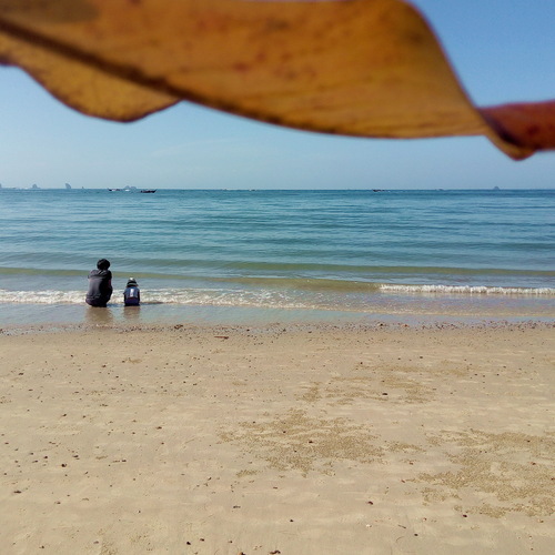 Photo #13870260