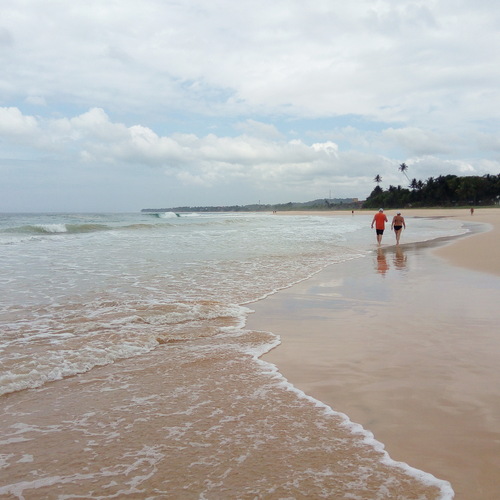Photo #13870263
