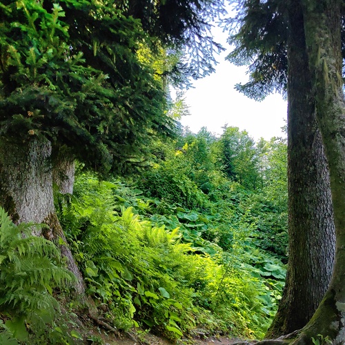 Photo #13870276