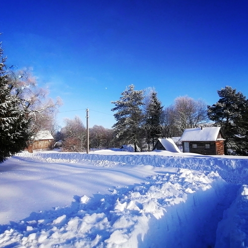 Photo #13870290