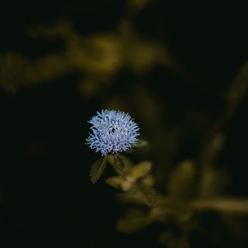 Photo #13870358