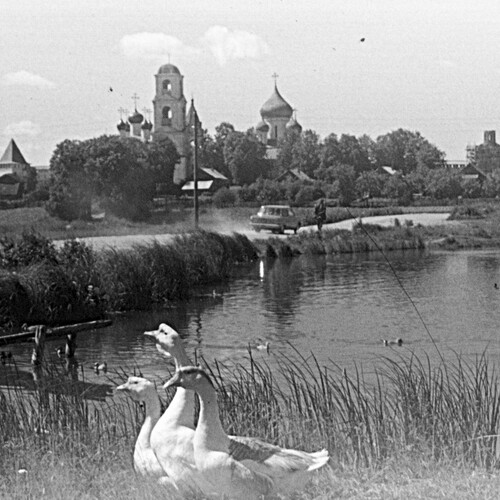 Photo #13870483
