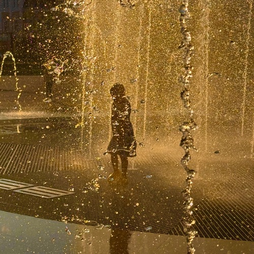 Photo #13870536