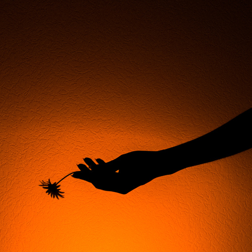 Photo #13870624