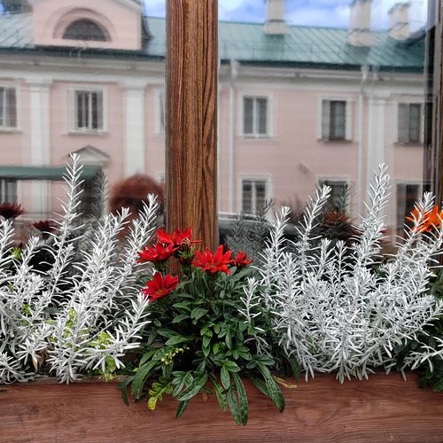 Photo #13870635
