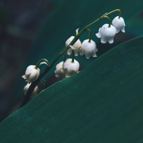 Photo #13870649