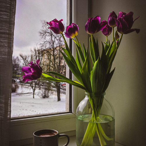 Photo #13870659