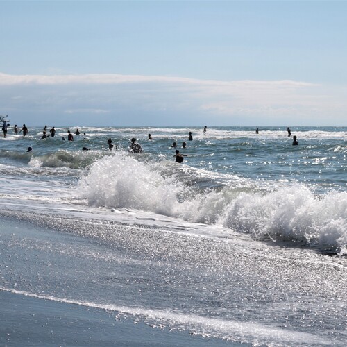 Photo #13870730