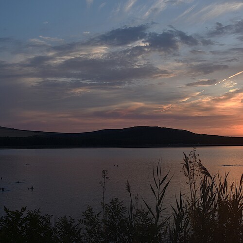 Photo #13870745