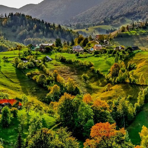 Landscape