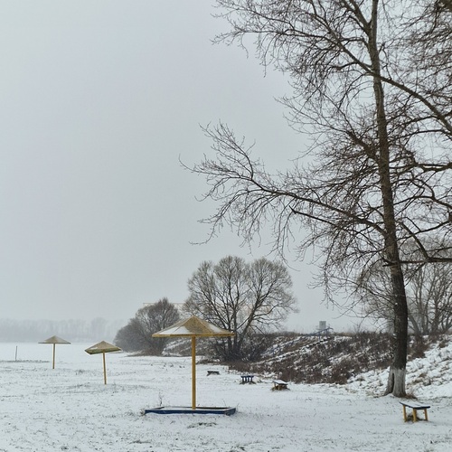 Photo #13870984