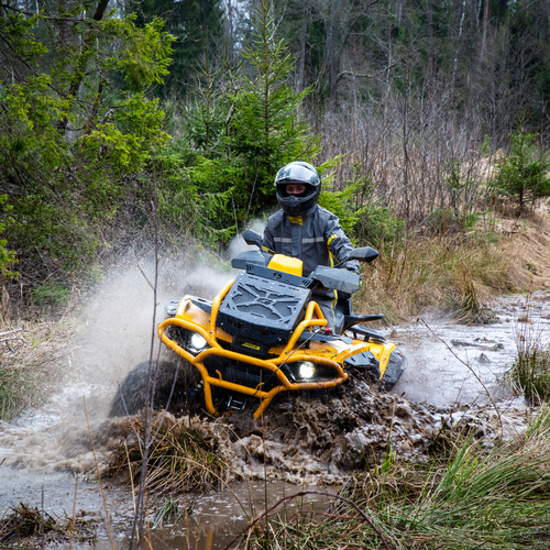 Photo #13870991