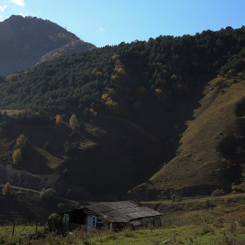 Photo #13871021