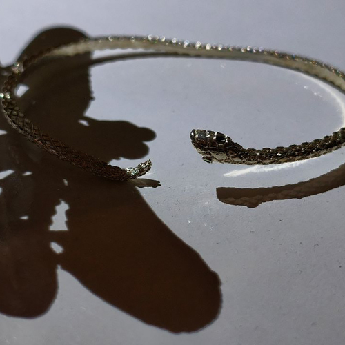 Photo #13871027