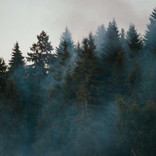 Photo #13871095