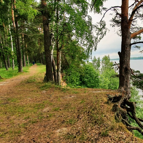 Photo #13871175