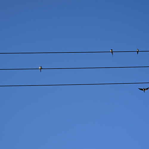Photo #13871194