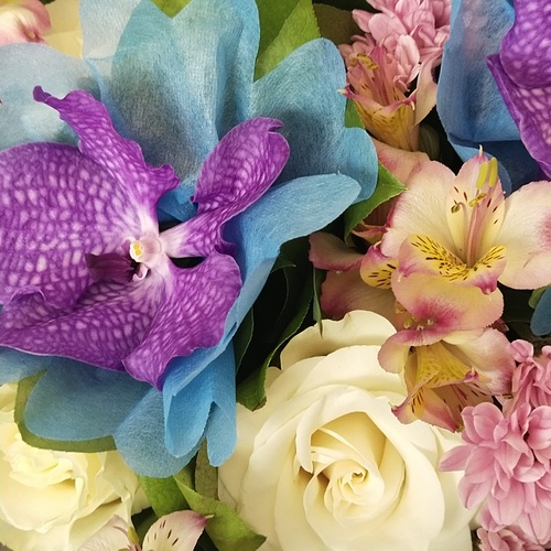 Photo #13871226