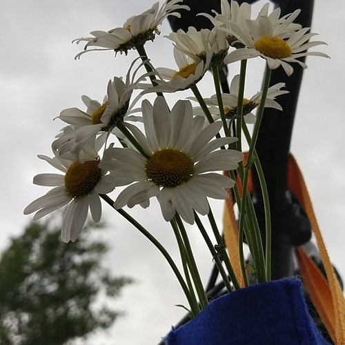 Photo #13871239