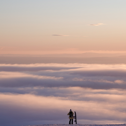 Photo #13871416