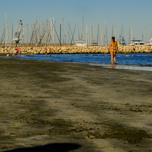 Photo #13871457