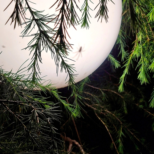 Photo #13871482