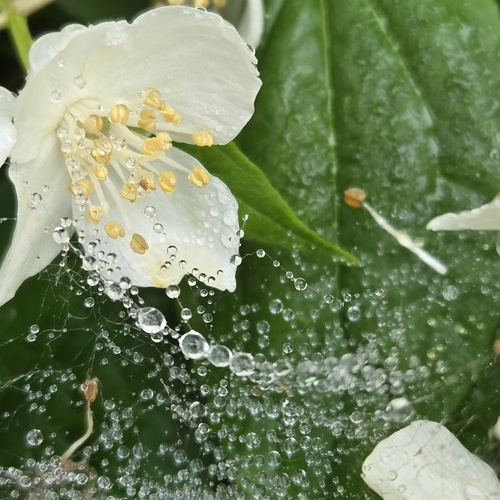 Photo #13871526