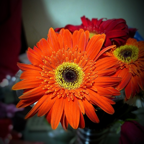 Photo #13871612