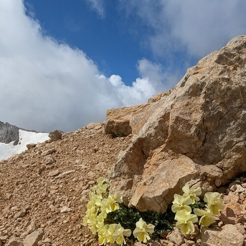 Photo #13871667