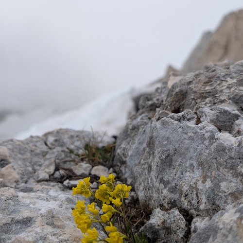 Photo #13871669