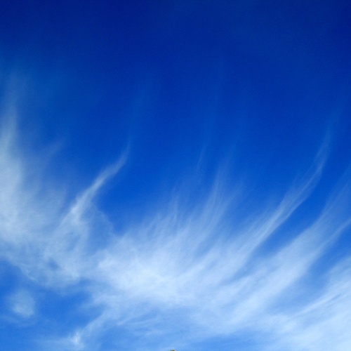 Photo #13871677