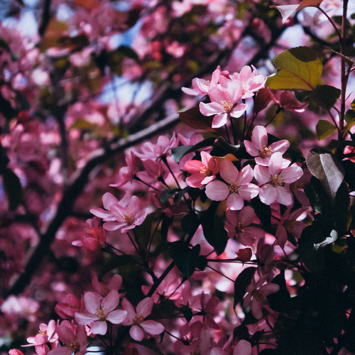 Photo #13871765