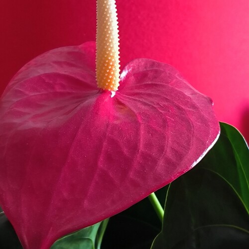 Photo #13871767