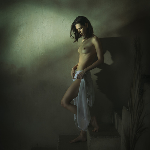 Фотография #13871835