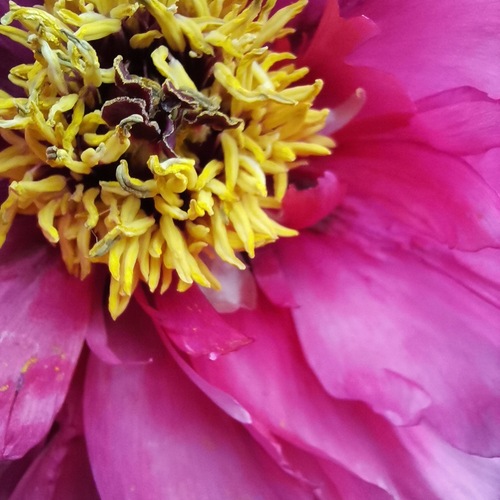 Photo #13871850