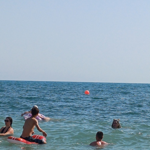 Photo #13871892