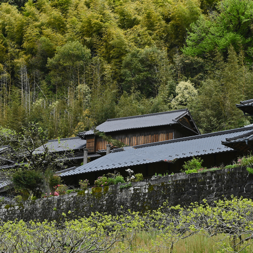 Living in the Mountain\'s Embrace