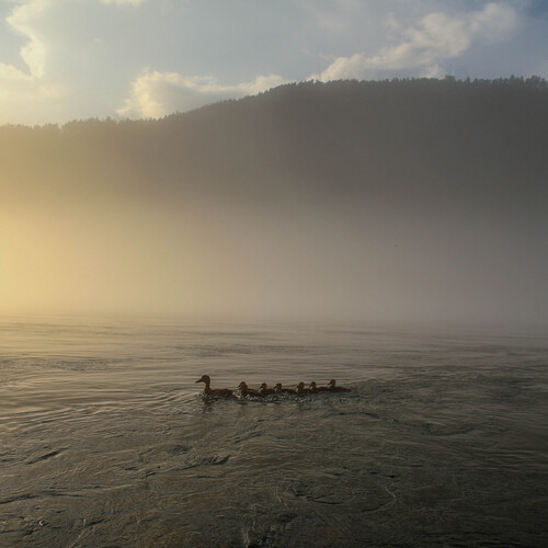 Photo #13872007