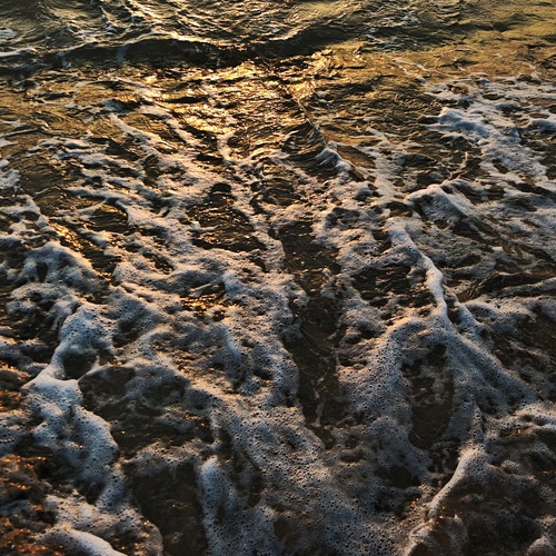 Photo #13872054