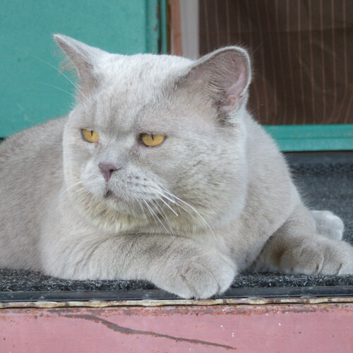 Photo #13872090