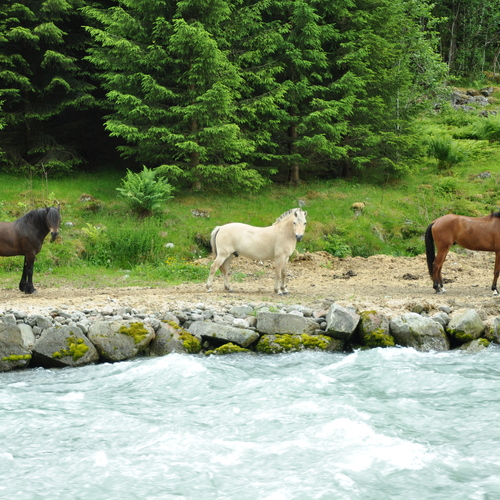 Photo #13872126