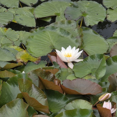Photo #13872205